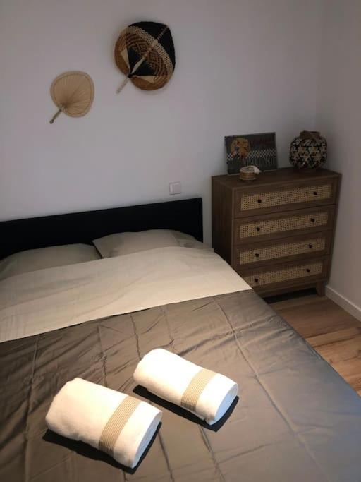 Appartement Cosy-Grand Stade Villeneuve D'Ascq Lezennes Eksteriør billede