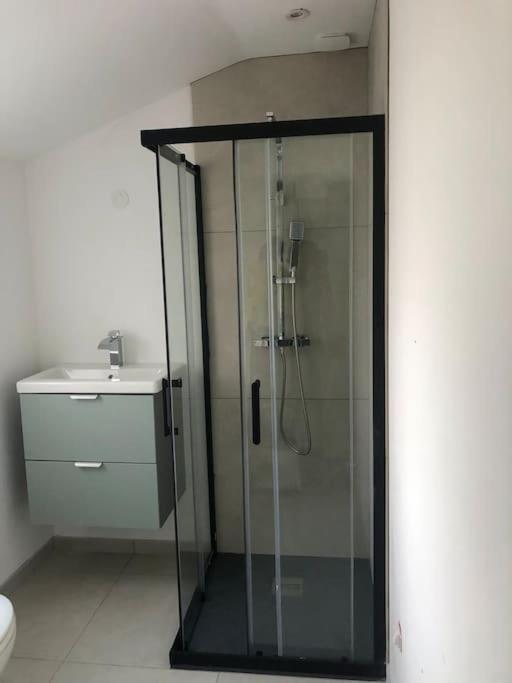 Appartement Cosy-Grand Stade Villeneuve D'Ascq Lezennes Eksteriør billede