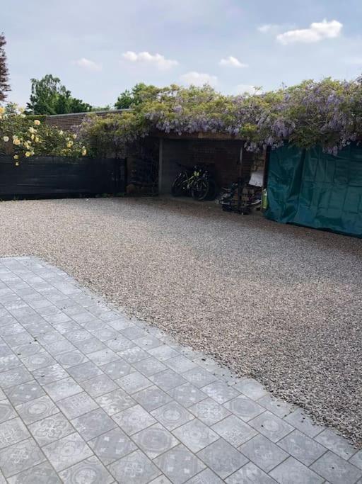 Appartement Cosy-Grand Stade Villeneuve D'Ascq Lezennes Eksteriør billede